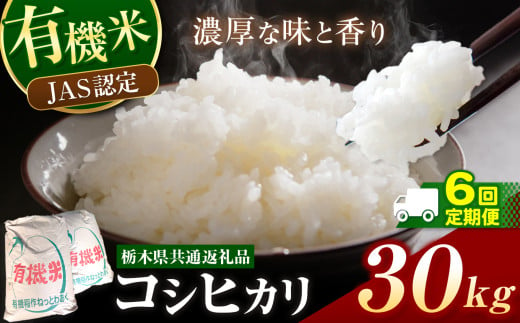 栃木県産 JAS認定 有機栽培 コシヒカリ 白米 30kg 6か月定期便 | お米 こめ ご飯 ごはん おにぎり おむすび 米 有機栽培 オーガニック 有機JAS 送料無料 定期便 定期 こしひかり 栃木県 銘柄米 ブランド米 栃木県共通返礼品 1978681 - 栃木県真岡市