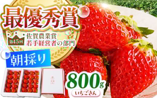 【農薬0への挑戦】【1～2月発送】王様のいちご いちごさん 800g ( 400g×2箱 )【むらおか農園】 [HAF009] 264556 - 佐賀県江北町