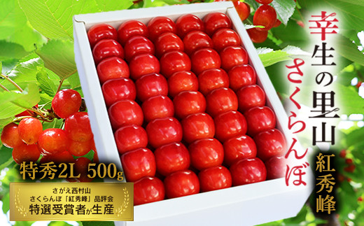 幸生地区の里山の さくらんぼ「紅秀峰」特秀品 2Lサイズ 500g 化粧箱詰（発泡スチロール包装）【2025年6月下旬頃～7月中旬頃発送予定】／ 2025年産 令和7年産 フルーツ 果物 くだもの 逸品 特産 山形産 山形県産 東北 山形県 寒河江市 葉山 麓 高原　040-A-MZ003 1971365 - 山形県寒河江市