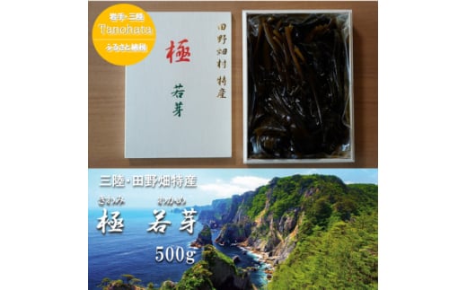 ≪日本料理 たかむら監修≫田野畑村特産「極 若芽」(きわみ わかめ)500g×1箱【1482687】