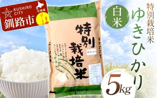 【通常発送】特別栽培米ゆきひかり 5kg 白米 北海道産 米 コメ こめ お米 白米 玄米 決済から7日前後で発送 F4F-7279 1987096 - 北海道釧路市