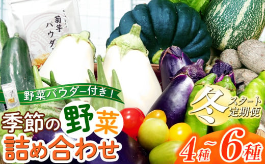 【定期便 2回・冬 スタート ！ 】＼ 選べる！発送時期 ／ 季節の野菜 ＆ 季節の野菜 パウダー 詰め合わせセット 農場おまかせ | アフリット 無農薬 有機自然農法 再生 野菜 やさい 根野菜 トマト 詰合せ セット 旬野菜 採れたて 新鮮 ユニーク野菜 オススメ 千葉県 君津市 きみつ 1980755 - 千葉県君津市