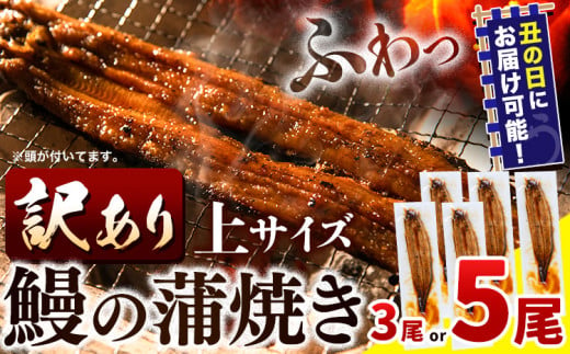 うなぎ 訳あり 鰻の蒲焼 3尾 5尾 [7月上旬-7月中旬頃出荷]│ うなぎ 国産 うなぎ 訳あり サイズ不揃い 1尾100g以上 先行予約 土用の丑の日 選べる出荷時期 簡易包装 送料無料 徳島県 上板町