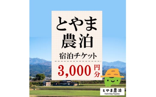 ＜富山県＞とやま農泊 宿泊チケット3,000円券×1枚【1588134】