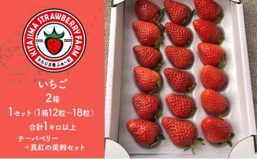 いちご2種(チーバベリー、真紅の美鈴 各1箱)食べ比べセット　1キロ以上 [№5743-0424]