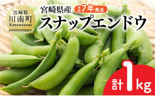 [令和7年発送]スナップエンドウ1.0kg [ 野菜 宮崎県産 川南町産 野菜 産地直送 新鮮 数量限定 ]