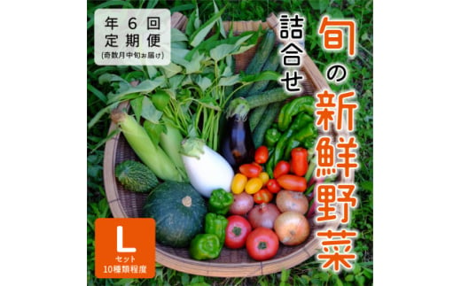 ＜発送月固定定期便＞『大阪能勢産』べじたぶるぱーくの新鮮野菜詰合せLセット(10種類)　奇数月全6回【4062844】 1980564 - 大阪府能勢町