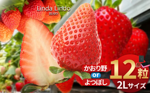 Linda Lindo BERRY 2Lサイズ 12粒 1978893 - 岐阜県北方町