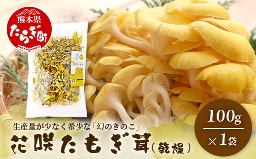 無農薬栽培【花咲 たもぎ茸 (乾燥) 100g 】幻 キノコ タモギダケ ヒラタケ 健康 栄養豊富 出汁 だし 115-0606