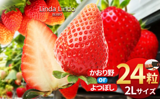 Linda Lindo BERRY 2Lサイズ 12粒x2 計24粒 507620 - 岐阜県北方町