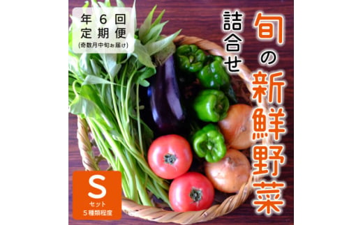 ＜発送月固定定期便＞『大阪能勢産』べじたぶるぱーくの新鮮野菜詰合せ　Sセット(5種類)　奇数月全6回【4062850】