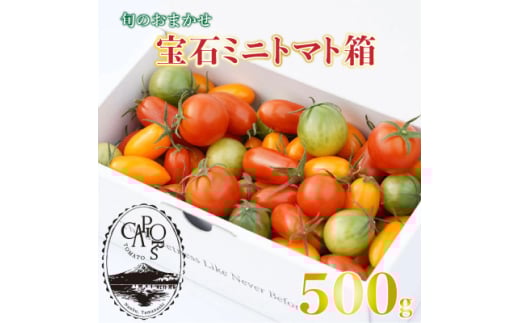 ＜カピオトマト＞旬のおまかせ宝石ミニトマト箱 500g【1460248】 1129647 - 山梨県南部町