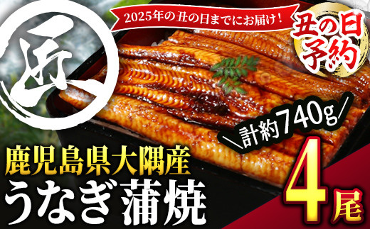 2870 【土用の丑の日予約】【数量限定】鹿児島県大隅産うなぎ蒲焼４尾（740g）【2025年7月19日までに順次発送】うなぎ 国産 鹿児島 鹿屋市 本格 鰻 ウナギ 蒲焼 冷凍 湯煎 レンジ 解凍 簡単調理 鰻丼 鰻重 ひつまぶし 魚 土用の丑 小分け 1978914 - 鹿児島県鹿屋市