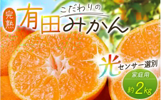【2025年11月発送予約分】＼光センサー選別／農家直送 こだわりの有田みかん 約2kg＋250g(傷み補償分) 【ご家庭用】【11月発送】みかん ミカン 有田みかん 温州みかん 柑橘 有田 和歌山 ※北海道・沖縄・離島配送不可/みかん ミカン 有田みかん 温州みかん 柑橘 有田 和歌山 産地直送【nuk159-11】 1302516 - 和歌山県太地町
