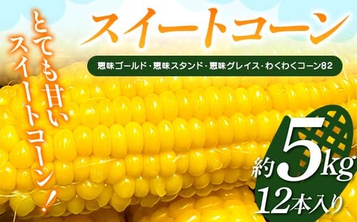 スイートコーン 約5kg（12本入り） とうもろこし トウモロコシ とうきび トウキビ コーン 野菜 食品 F4H-0520