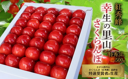 幸生地区の里山の プレミアムさくらんぼ「紅秀峰」特秀品 3Lサイズ 500g 化粧箱詰（発泡スチロール包装）【2025年6月下旬頃～7月中旬頃発送予定】／ 2025年産 令和7年産 フルーツ 果物 くだもの 逸品 特産 山形産 山形県産 東北 山形県 寒河江市 葉山 麓 高原　050-A-MZ004 1978767 - 山形県寒河江市