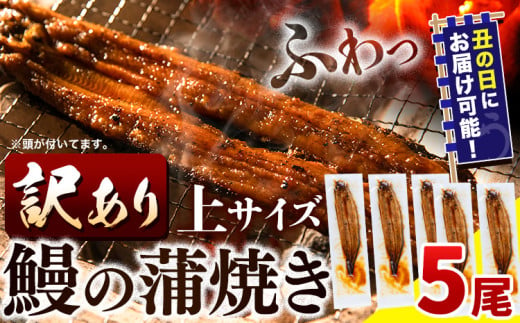 うなぎ 訳あり 鰻の蒲焼 5尾 《7月上旬-7月中旬頃出荷》│ うなぎ 国産 うなぎ 訳あり サイズ不揃い 1尾100g以上 先行予約 土用の丑の日 選べる出荷時期 簡易包装 送料無料 徳島県 上板町