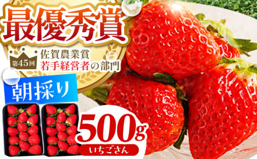 朝摘みいちご ( いちごさん ) 500g ( 250g×2パック ) 【むらおか農園】 [HAF021]/ いちご 苺 イチゴ