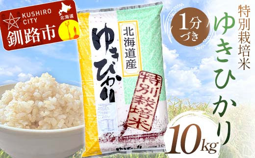 【通常発送】特別栽培米ゆきひかり 10kg 1分づき 北海道産 米 コメ こめ お米 白米 玄米 決済から7日前後で発送 F4F-7240 1987054 - 北海道釧路市 |