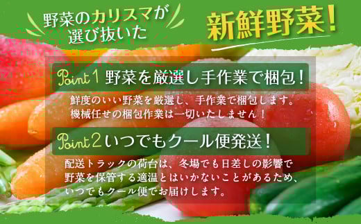野菜のプロ40年が届ける こだわり野菜セット！ 7～8品目 詰め合わせ