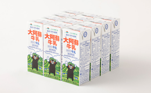 【1ヶ月毎4回定期便】大阿蘇牛乳 200ｍl 計48本（12本×4回）牛乳 乳飲料 生乳100%