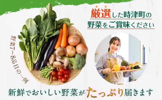 野菜のプロ40年が届ける こだわり野菜セット！ 7～8品目 詰め合わせ