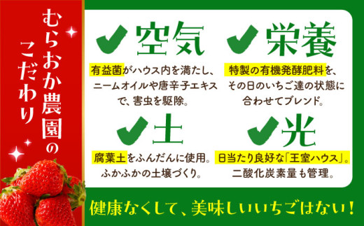 朝摘みいちご いちごさん 1kg（250g×4パック）【むらおか農園】 [HAF023] / いちご 苺 イチゴ 果物