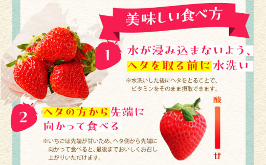 朝摘みいちご ( いちごさん ) 500g ( 250g×2パック ) 【むらおか農園】 [HAF021]/ いちご 苺 イチゴ
