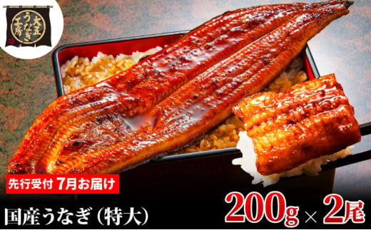 [№5695-1914]先行受付 【7月上旬配送】 うなぎ蒲焼 200g×2尾(400g) うなぎ 鰻 蒲焼 蒲焼き 大五通商 静岡 島田市 1967116 - 静岡県島田市