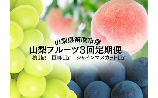 ＜25年発送先行予約＞山梨のフルーツ定期便　全３回　桃　巨峰　シャインマスカット 167-140 1979480 - 山梨県笛吹市