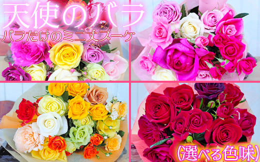 [天使のバラ]薔薇だけのミニ丈ブーケ(選べる色味)[141-701_6]