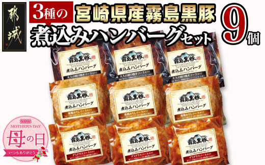 【母の日】霧島黒豚 3種の煮込みハンバーグギフト (デミグラスソース仕立て・和風おろしソース仕立て・大人の照焼きソース仕立て)≪5月8日～11日お届け≫_AA-2804-MG_(都城市) 霧島黒豚 煮込みハンバーグ デミグラス 和風おろし 照焼き ギフト 贈答用