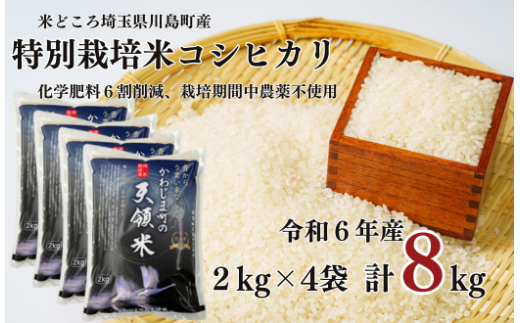 特別栽培米 コシヒカリ 白米 8kg （2kg×4袋）食味値80以上 栽培期間中農薬不使用 有機肥料 かわじま町の天領米 令和6年産 2024年産 小分け 米 コメ 安心 安全  減農薬 埼玉県認証 埼玉県 川島町 1160456 - 埼玉県川島町