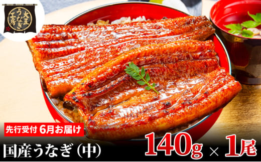 [№5695-1854]先行受付 【6月上旬配送】 うなぎ蒲焼 140g×1尾 うなぎ 鰻 蒲焼 蒲焼き 大五通商 静岡 島田市 1967068 - 静岡県島田市