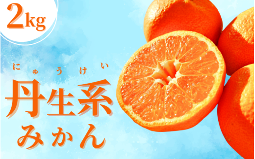 【L～3Lサイズおまかせ】※秀優混合 丹生系みかん 2kg ※箱込み【2025年2月初旬から2月下旬頃発送予定】＜味好農園＞/ 丹生系 にゅうけい みかん 柑橘 果物 フルーツ ミカン 訳あり 秀品 優品【agy029】