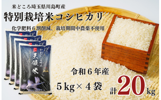 特別栽培米 コシヒカリ 白米 20kg （5kg×4袋）食味値80以上 栽培期間中農薬不使用 有機肥料 かわじま町の天領米 令和6年産 2024年産 小分け 米 コメ 安心 安全  減農薬 埼玉県認証 埼玉県 川島町 1160737 - 埼玉県川島町