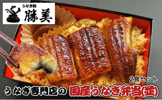 国産うなぎ弁当【並】2食セット [№5786-5437]