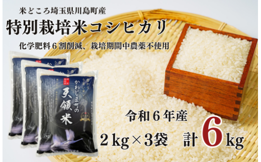 特別栽培米 コシヒカリ 白米 6kg （2kg×3袋）食味値80以上 栽培期間中農薬不使用 有機肥料 かわじま町の天領米 令和6年産 2024年産 小分け 米 コメ 安心 安全  減農薬 埼玉県認証 埼玉県 川島町 1160457 - 埼玉県川島町