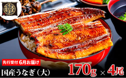 [№5695-1884]先行受付 【6月上旬配送】 うなぎ蒲焼 170g×4尾(680g) うなぎ 鰻 蒲焼 蒲焼き 大五通商 静岡 島田市 1967092 - 静岡県島田市