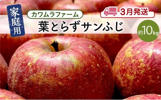 りんご 【 3月発送 】カワムラファーム 家庭用 葉とらず サンふじ 約10kg 【 弘前市産 青森りんご 】