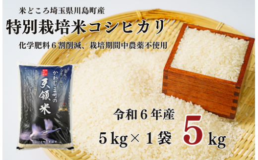 特別栽培米 コシヒカリ 白米 5kg （5kg×1袋）食味値80以上 栽培期間中農薬不使用 有機肥料 かわじま町の天領米 令和6年産 2024年産 小分け 米 コメ 安心 安全  減農薬 埼玉県認証 埼玉県 川島町 1160740 - 埼玉県川島町