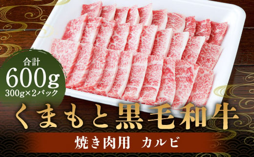 くまもと黒毛和牛 焼き肉用カルビ 600g （300g×2） 肉 お肉 牛肉 和牛 カルビ 焼肉 国産 熊本県 人吉市 1972434 - 熊本県人吉市