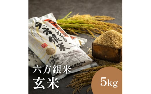 令和6年産 減農薬米 特別栽培米 六方銀米 コシヒカリ 玄米 5kg / 減農薬 玄米 新米 お米 5キロ 米 コウノトリ米 コメ こめ ご飯 ライス こしひかり 兵庫県産 1979380 - 兵庫県豊岡市