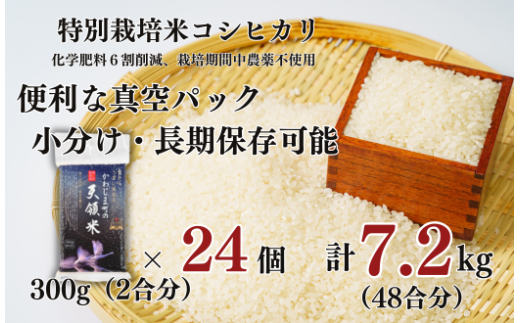 【かわじま町の天領米 真空 パック 24個】 特別栽培米 コシヒカリ 白米 300g（2合分） ×24個 計7.2kg（48合分） 食味値80以上 鮮度長持ち 栽培期間中農薬不使用 有機肥料 埼玉県認証 令和6年産 2024年産 小分け 米 コメ 安心 安全 贈答 プレゼント 手土産 お土産 1236652 - 埼玉県川島町