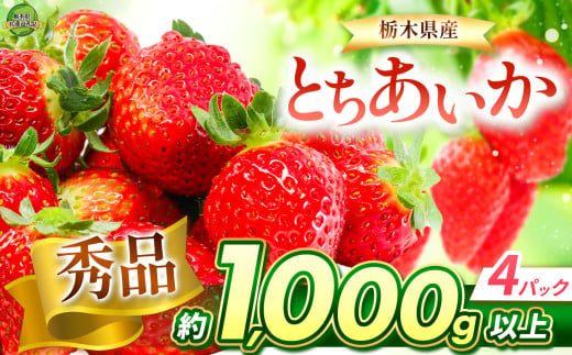 とちあいか 秀品 1000g | 果物 くだもの フルーツ 野菜 やさい ヤサイ 苺 イチゴ いちご とちあいか 新鮮 甘い 数量 限定 美味しい 果物 共通返礼品 フルーツ デザート 栃木県 那珂川町 送料無料