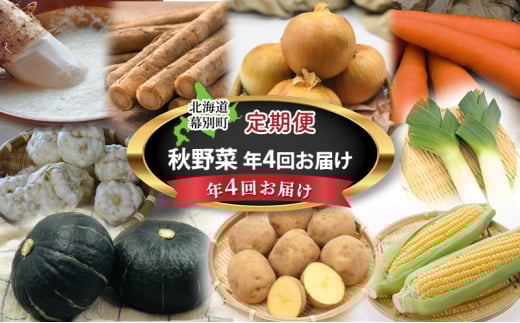 十勝幕別の定期便 秋野菜 年4回お届け 【お届け開始：2025年9月～】[№5749-1467] 1951392 - 北海道幕別町