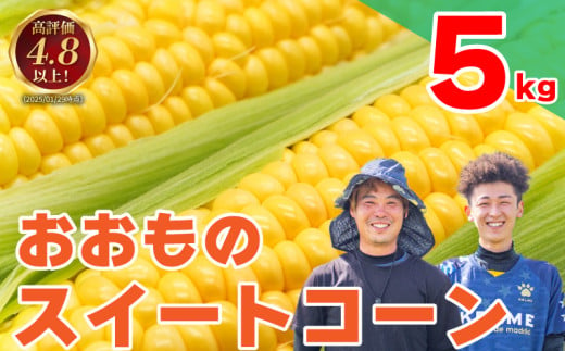 【 先行予約 】 とうもろこし 朝どり 5kg スイートコーン 甘い おおもの 《 2025年6月～順次発送 》 おおもの  大粒 コーン サラダ 野菜 やさい 新鮮 サラダ 醤油 バター 砂糖 焼き肉 焼肉 バーベキュー BBQ キャンプ アウトドア 天ぷら スープ コーンスープ徳島県 阿波市 1323511 - 徳島県阿波市