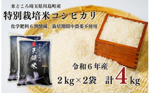 特別栽培米 コシヒカリ 白米 4kg （2kg×2袋）食味値80以上 栽培期間中農薬不使用 有機肥料 かわじま町の天領米 令和6年産 2024年産 小分け 米 コメ 安心 安全  減農薬 埼玉県認証 埼玉県 川島町 1160458 - 埼玉県川島町