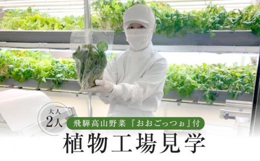 飛騨高山野菜『おおごっつぉ』付植物工場見学（大人２人）| 工場見学 体験学習 長期連休 グリーンリーフ 園芸 チケット 旅行 飛騨高山 株式会社FDS HS003 1756070 - 岐阜県高山市