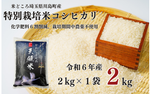 特別栽培米 コシヒカリ 白米 2kg （2kg×1袋）食味値80以上 栽培期間中農薬不使用 有機肥料 かわじま町の天領米 令和6年産 2024年産 小分け 米 コメ 安心 安全  減農薬 埼玉県認証 埼玉県 川島町 1160453 - 埼玉県川島町